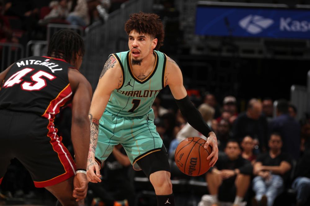 但更能适应 但更能适应